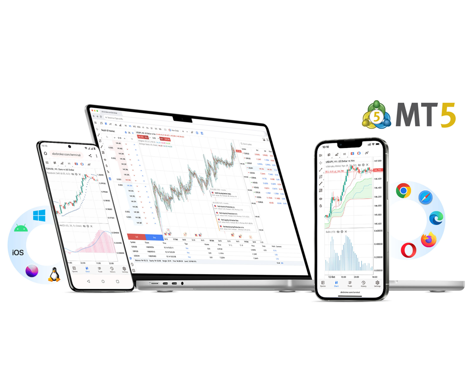 https://www.ngel-global.com/wp-content/uploads/2024/11/metatrader5.png